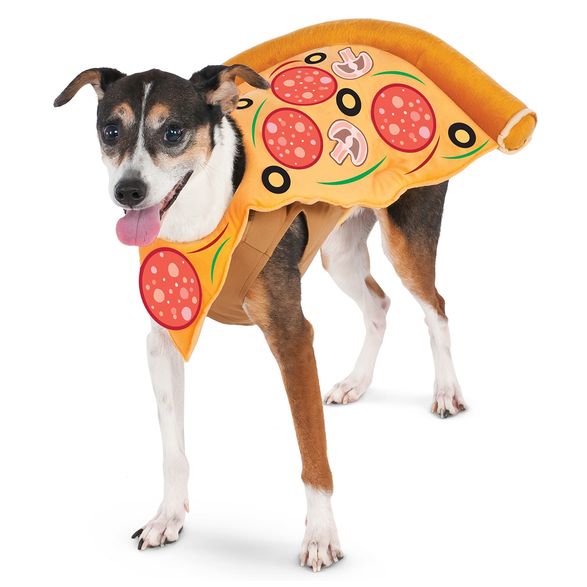 Läs mer om Hunddräkt, Pizza-S
