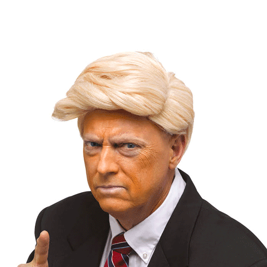 Peruk Trump, flintproduktbild #1