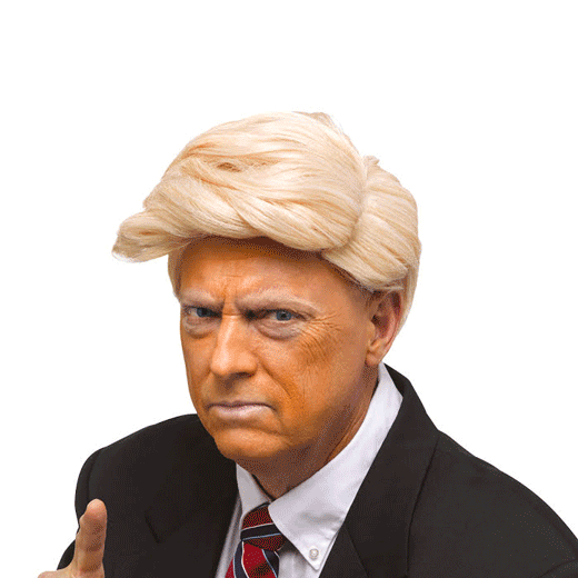Peruk Trump, flint