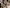 Tips till halloweendukningen